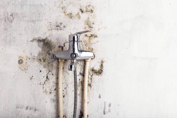 Mold Testing and Removal in Onancock, VA