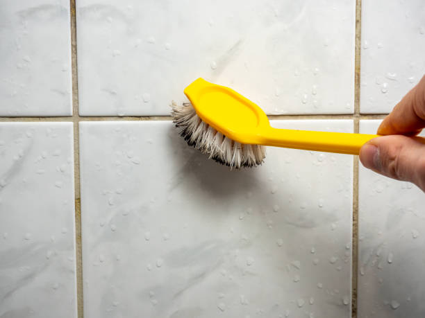 Best Mold Removal and Inspection  in Onancock, VA
