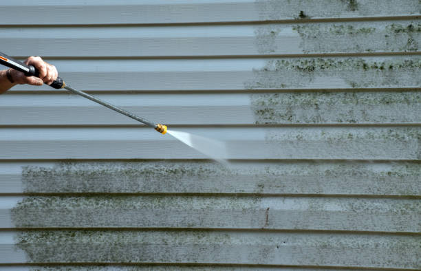 Best Commercial Mold Removal  in Onancock, VA