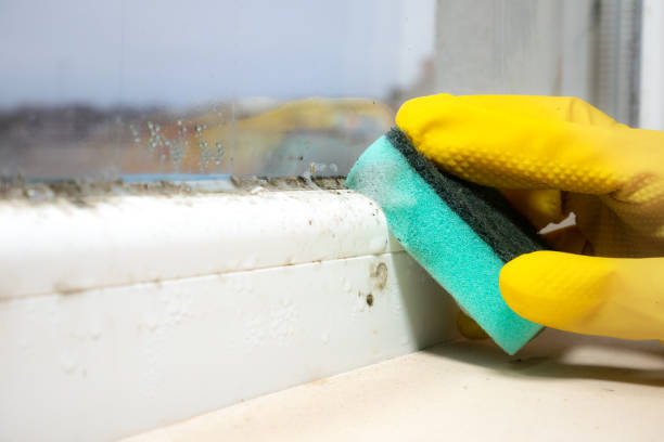 Professional Mold Removal in Onancock, VA