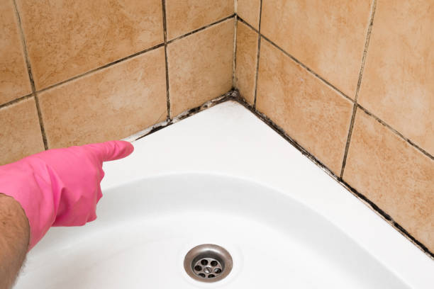 Best Affordable Mold Removal  in Onancock, VA
